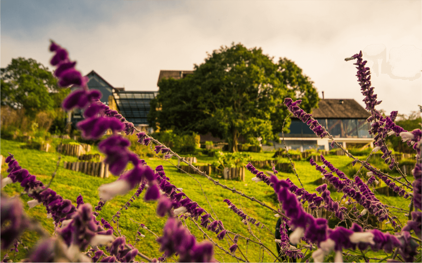 Botanique Hotel Experience promove Gala Dinner com a ONG Gerando Falcões e celebra posição entre os 20 melhores hotéis do Brasil pelo Guia Michelin