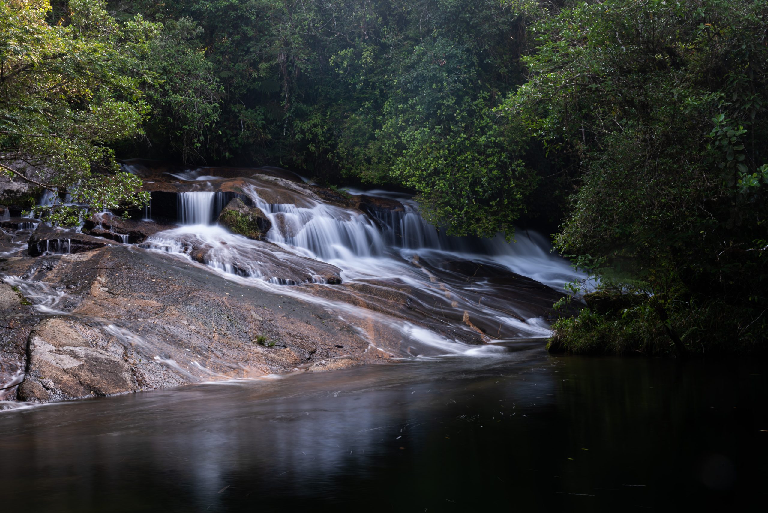 Parque das Neblinas comemora 21 anos de conservação e regeneração ambiental