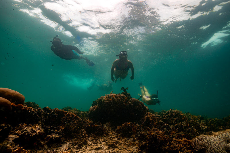 Bocas del Toro: arquipélago é sinônimo de surf e aventura