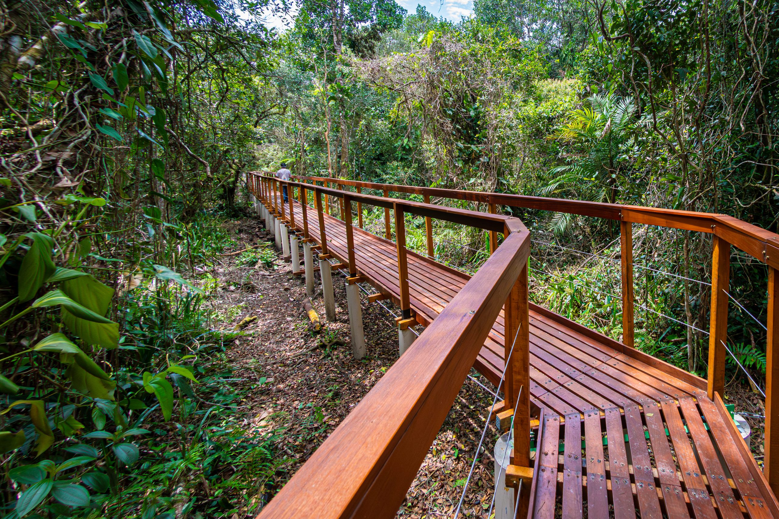Trilha do Ararapira foi inagurada no Parque Nacional do Superagui
