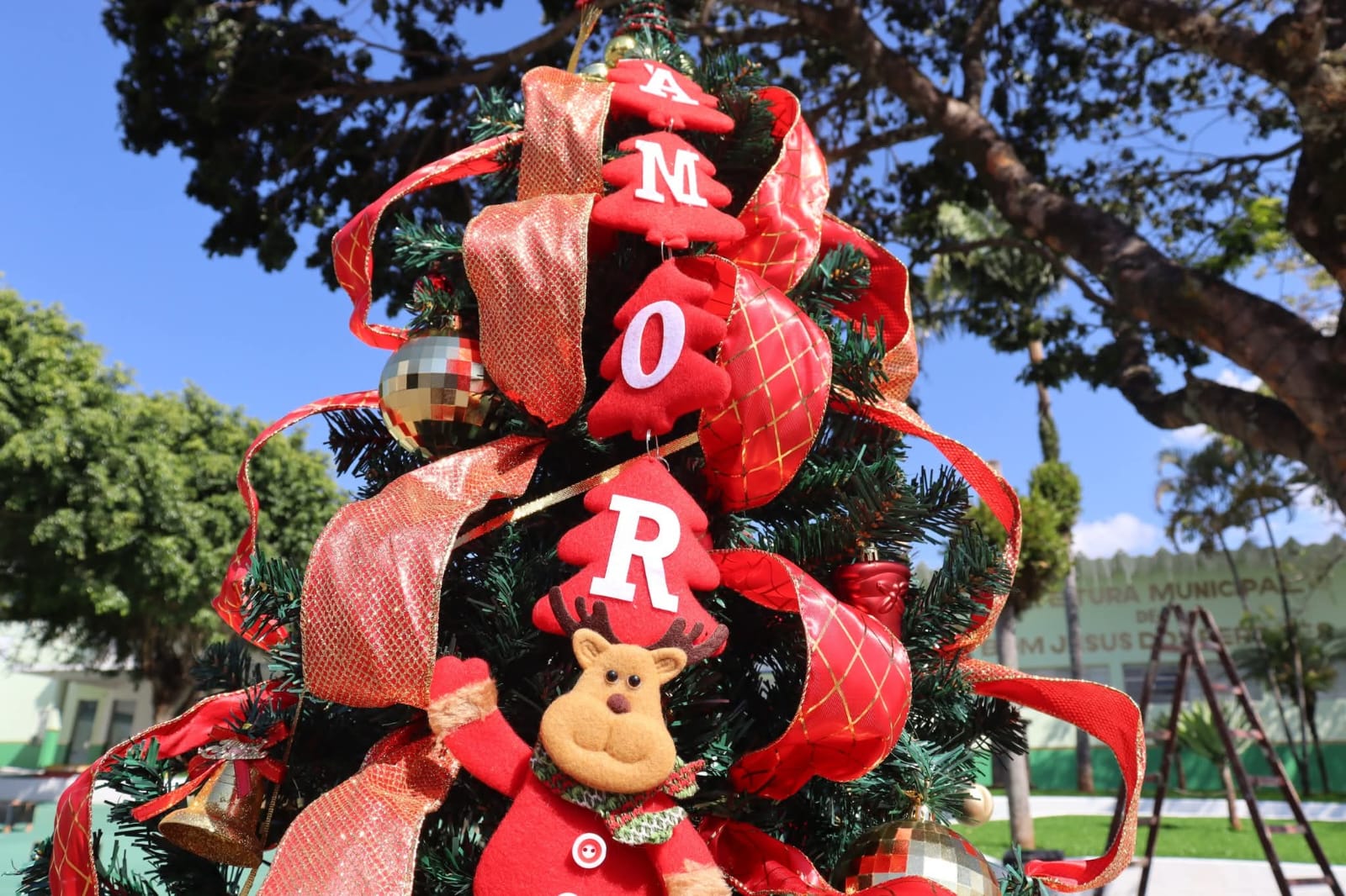 Bom Jesus dos Perdões, Natal 2025