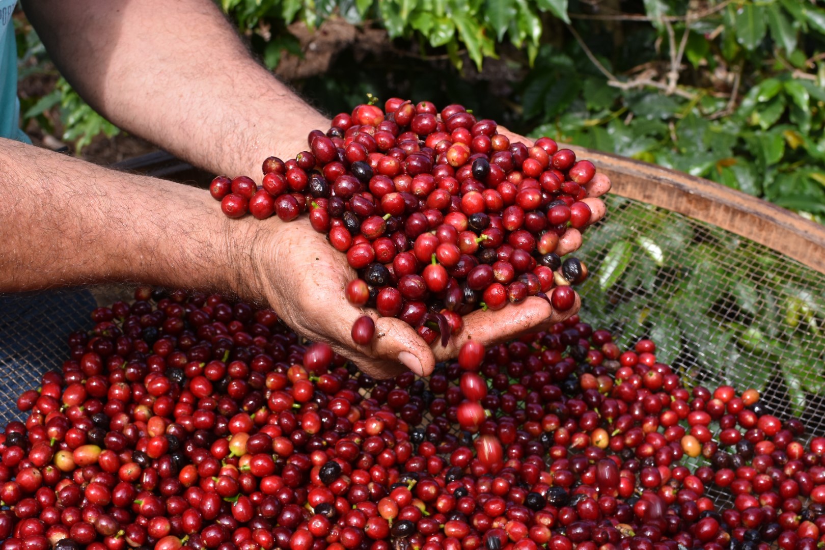 Serra Negra reúne natureza, boa mesa e ampla rede de hospedagem no interior paulista