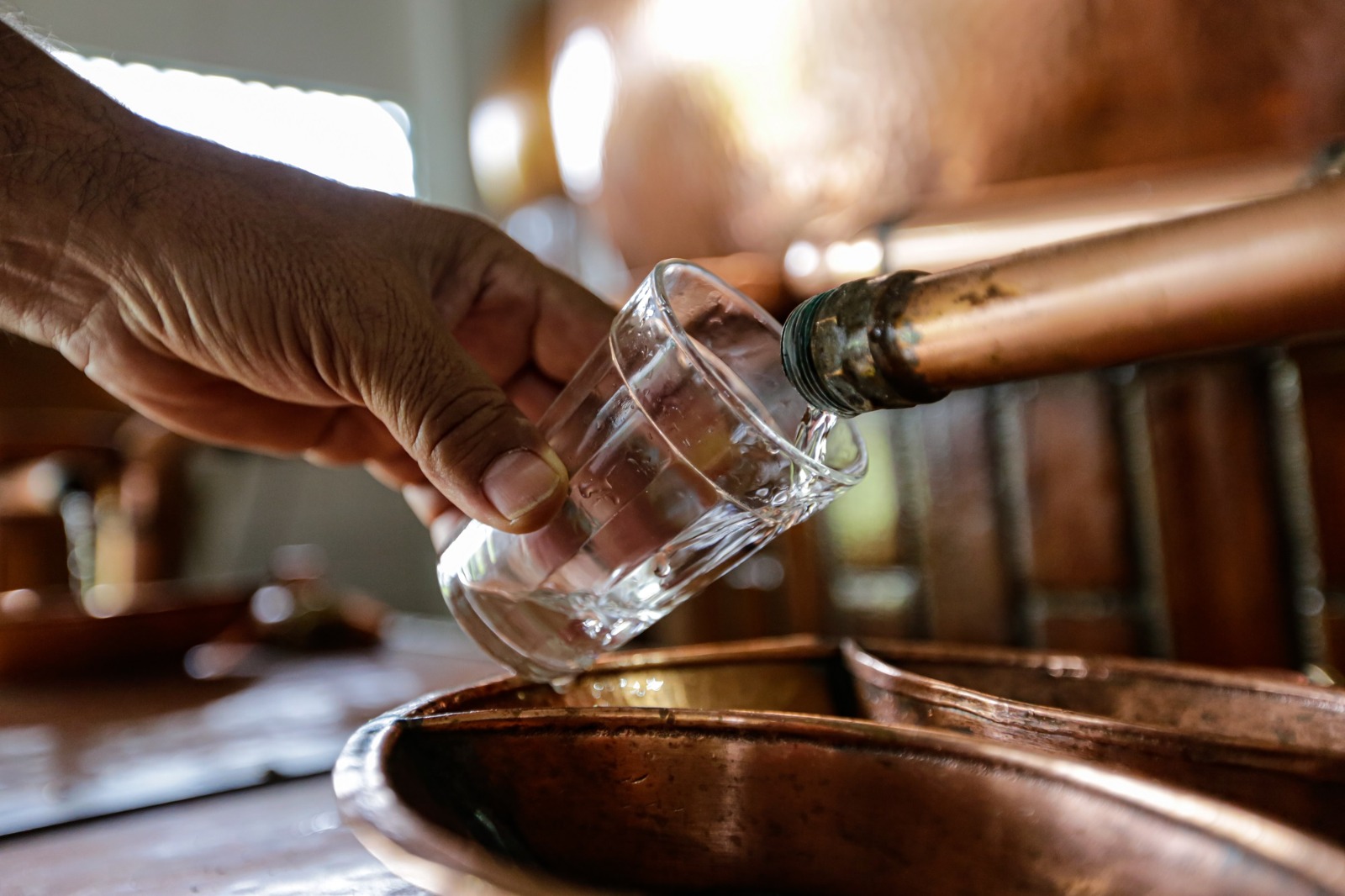 Caminho dos Engenhos é lançado e amplia oferta de turismo de experiência na Paraíba