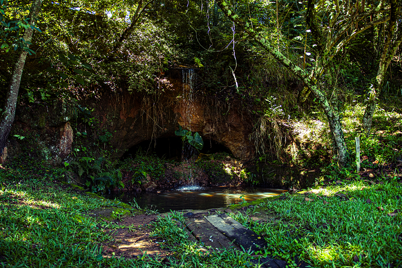 Conecte-se com a natureza em Socorro