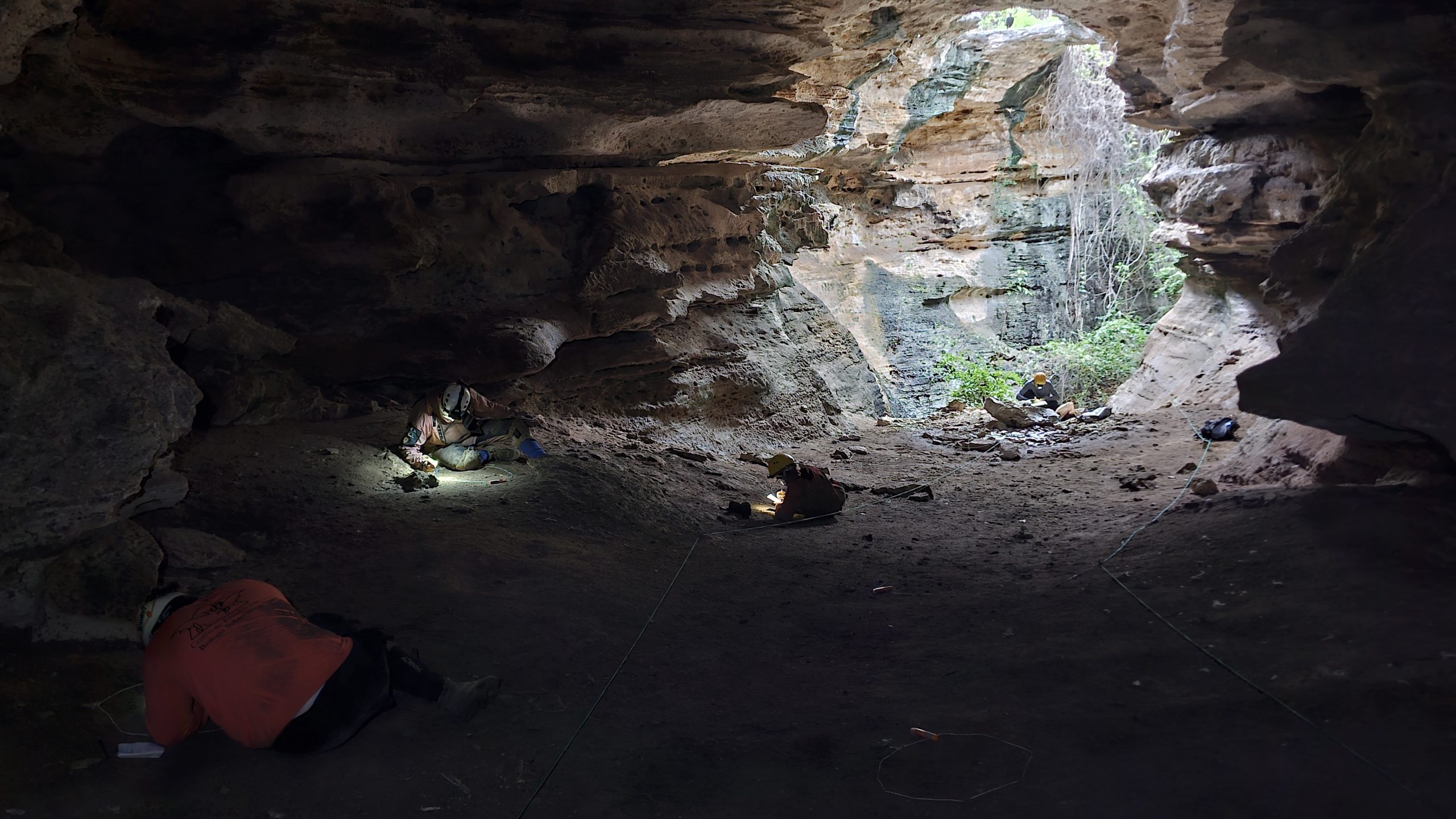 Brasil testa metodologias para medir impactos do turismo sobre a fauna de cavernas