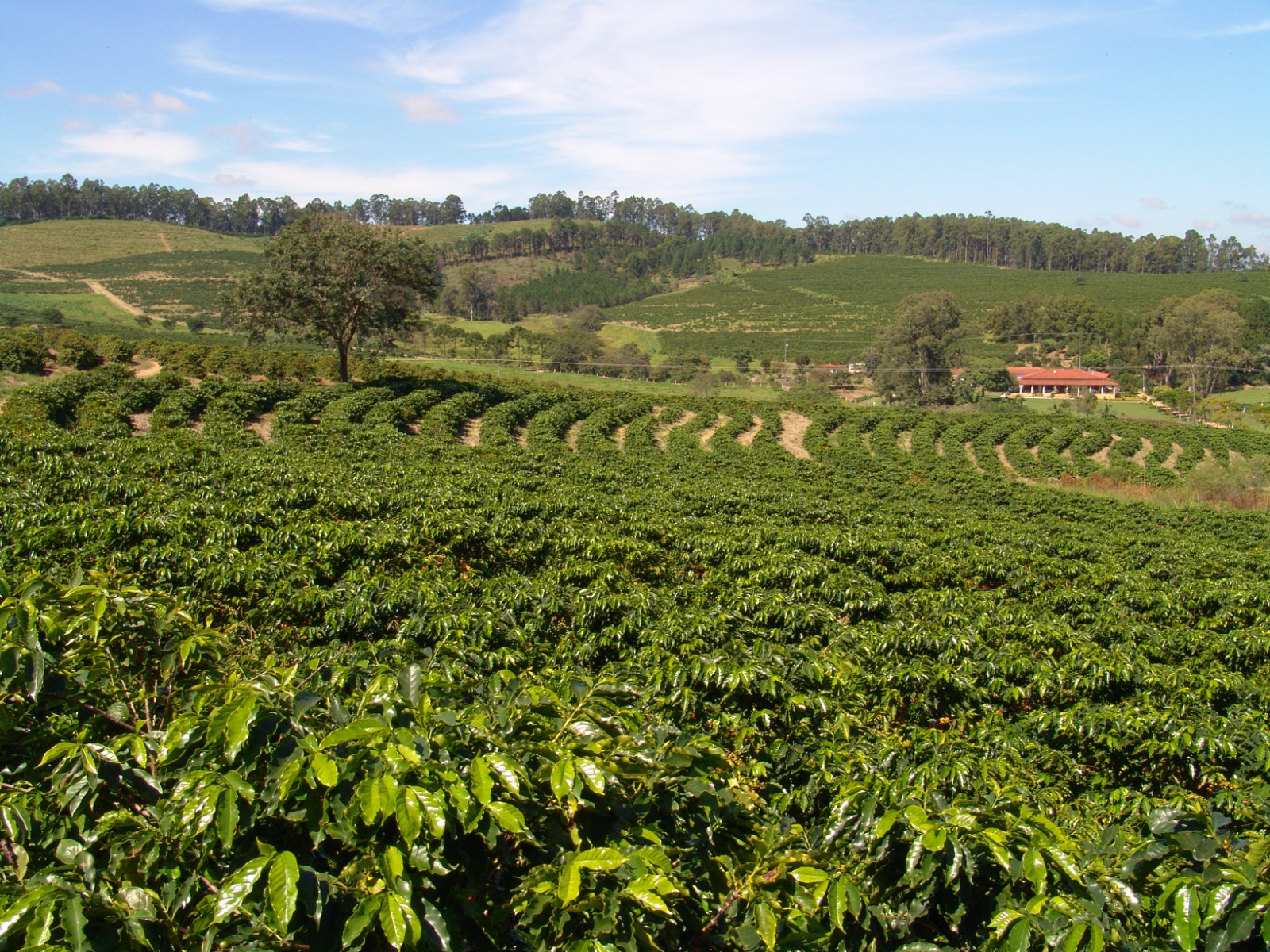 Serra Negra é destino além do óbvio no interior paulista