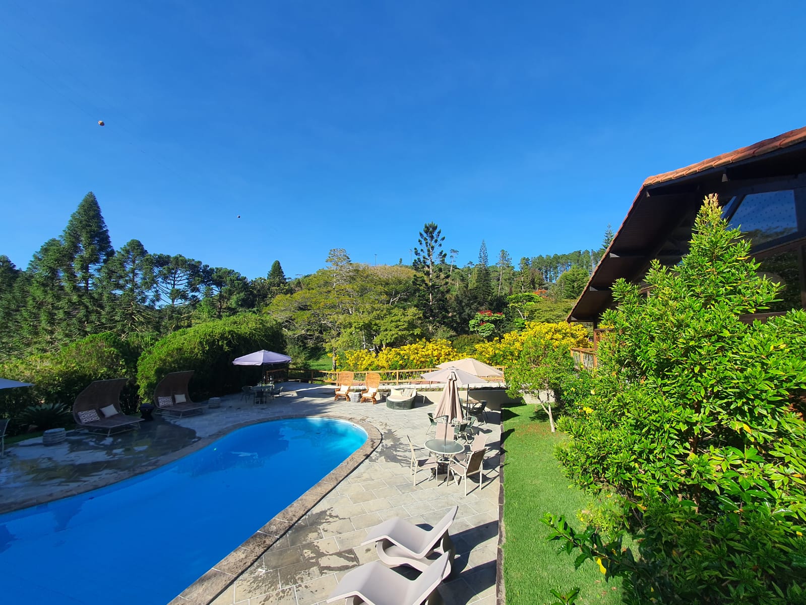 Entre trilhas e cachoeiras, Natureza Eco Lodge propõe imersão total na Mata Atlântica