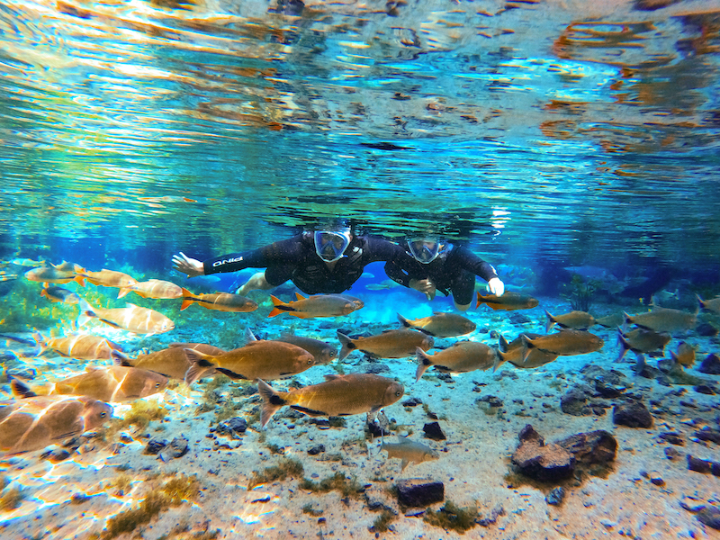 4 motivos para visitar a Nascente Azul no inverno