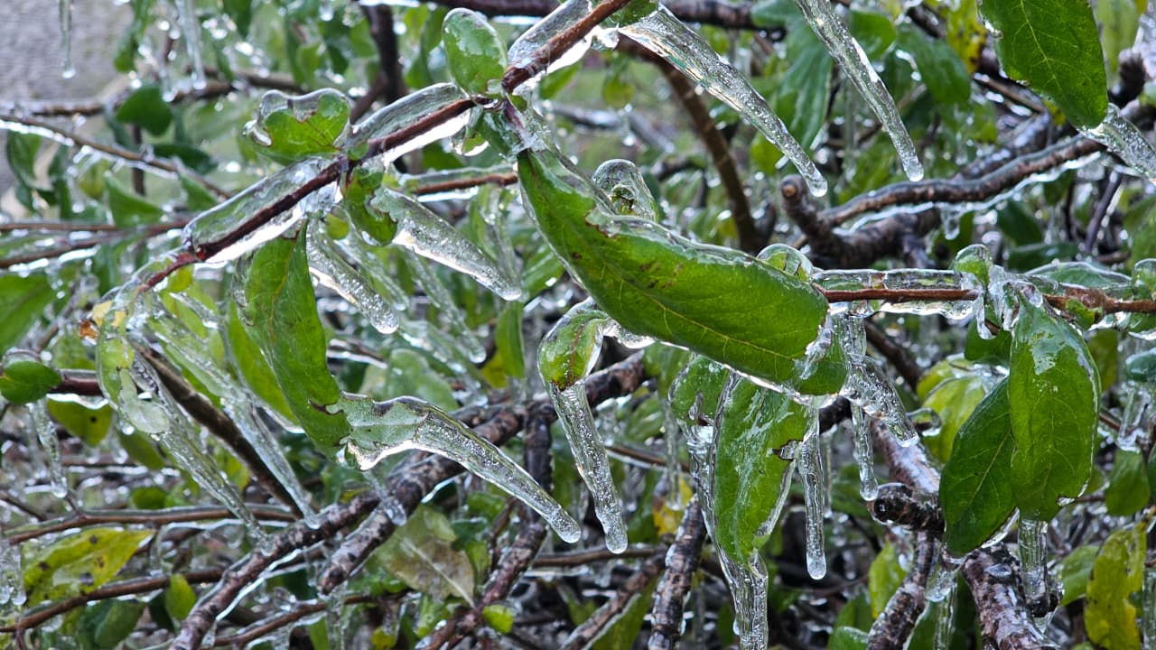 Inverno transforma a Serra Catarinense num dos destinos mais visitados do País