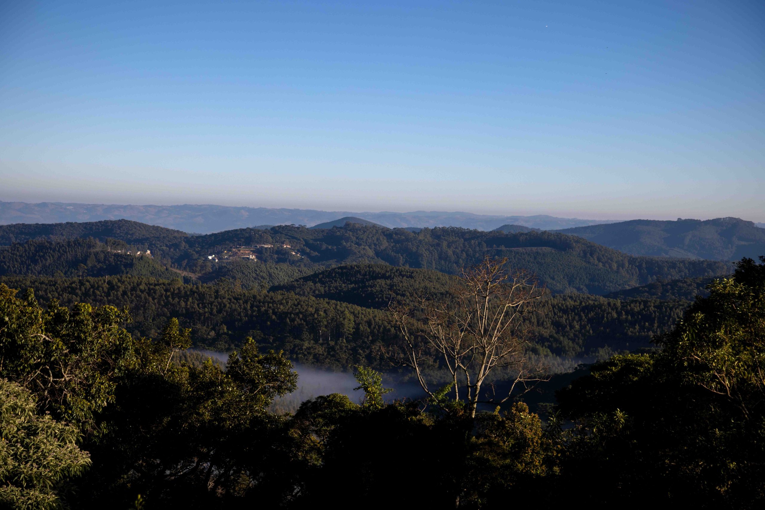 Clima ameno e boa mesa fazem de Monte Verde destaque no Dia dos Namorados