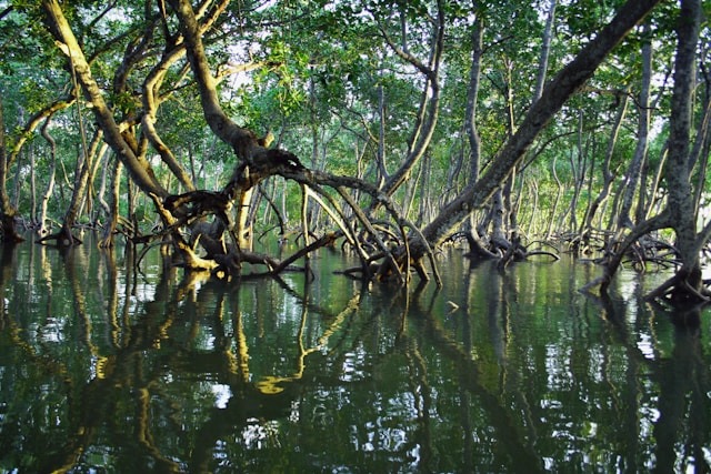 O destino baiano onde você pode ver baleias, mergulhar, explorar trilhas e navegar por águas cristalinas na mesma viagem