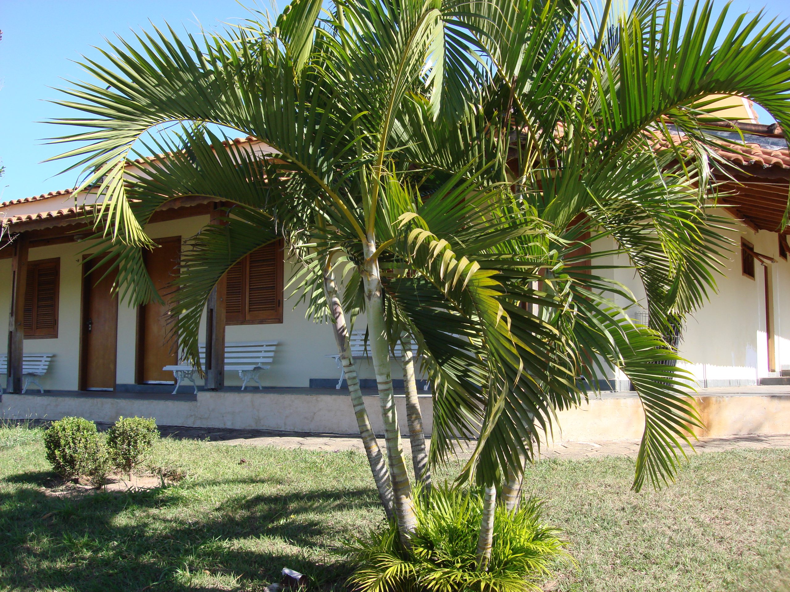 Resort Fazenda São João oficializa associação à Resorts Brasil