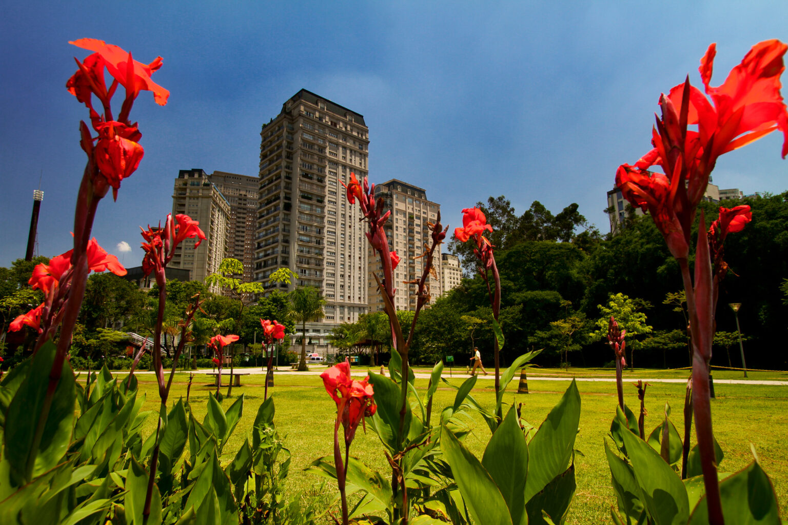 São Paulo se reinventa como destino a partir da vida nos seus bairros