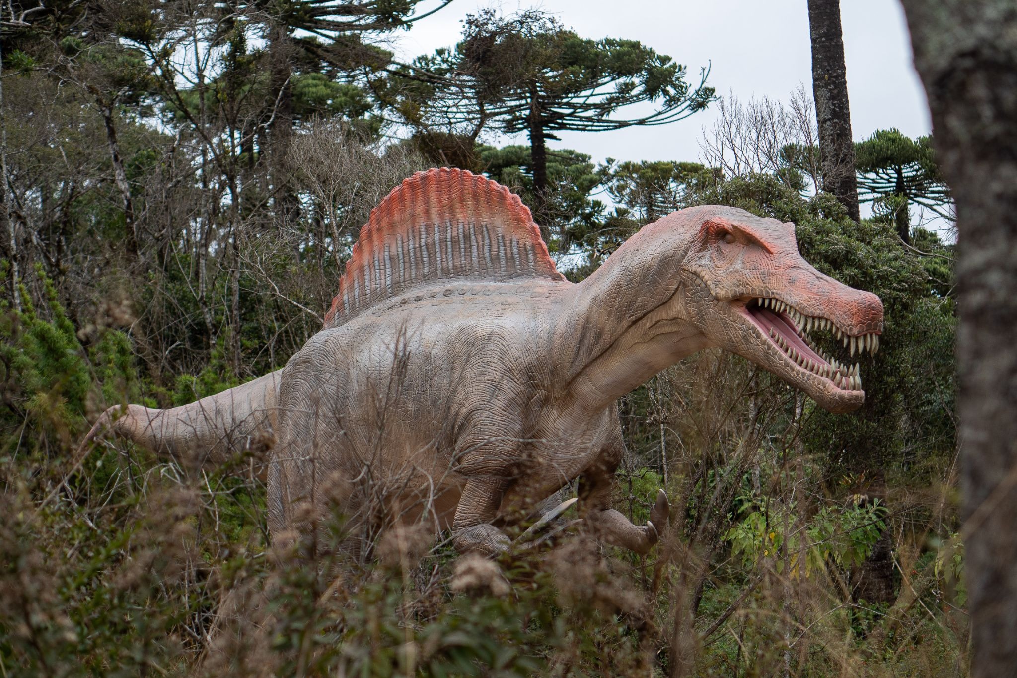 Maior parque de dinossauros do mundo abre ingressos para unidade em Campos do Jordão